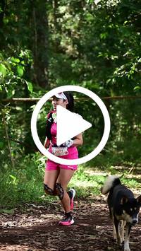 BIB:  <button type="button" onclick="openModal(27515101)" class="btn btn-primary btn-sm float-right" data-toggle="modal" data-target=".modal-high-quality">
                <i class="fa fa-download"></i> Download
                </button>